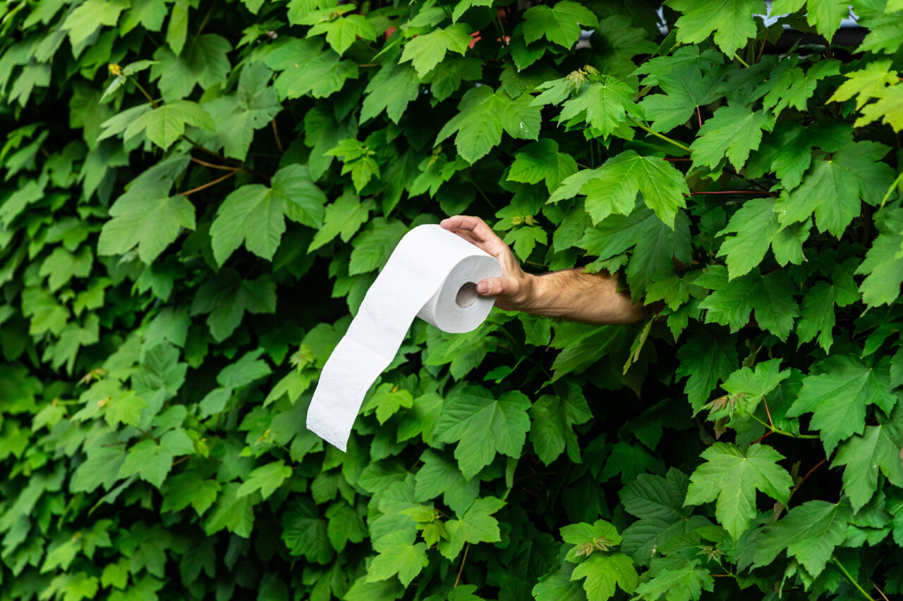 Spende von Toilettenpapier für die Notdurft