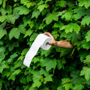 Spende von Toilettenpapier für die Notdurft